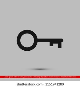 key icon, stock vector illustration flat design