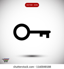 key icon, stock vector illustration flat design