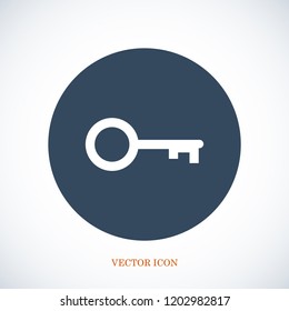 key icon, stock vector illustration flat design