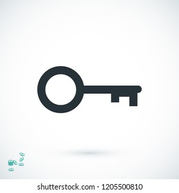 key icon, stock vector illustration flat design