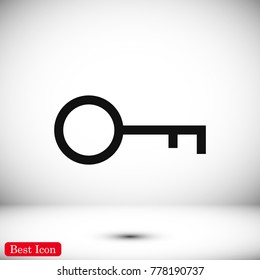 key icon, stock vector illustration flat design