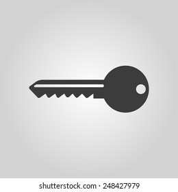 The key icon. Key symbol. Flat Vector illustration