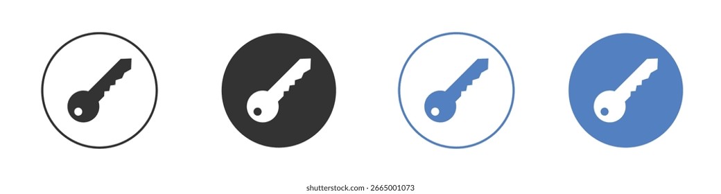 key icon symbol. Quality design element.