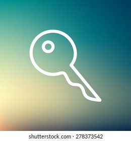 Key icon thin line for web and mobile, modern minimalistic flat design. Vector white icon on gradient mesh background.