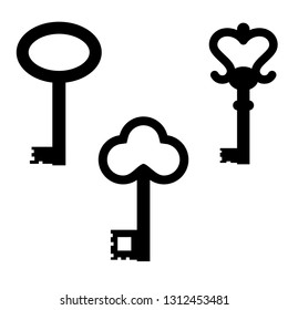 key icon   Three symbols  old keys  set vector