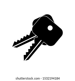 key icon trendy flat design
