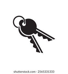 Key icon in trendy flat style isolated on background. Key symbols for your website design,