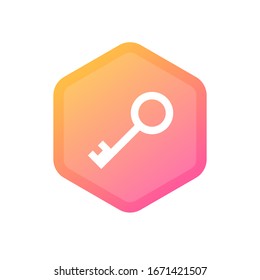 Key icon. Key vector icon