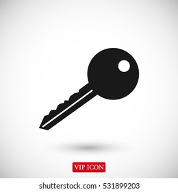 key icon, vector best flat icon, EPS
