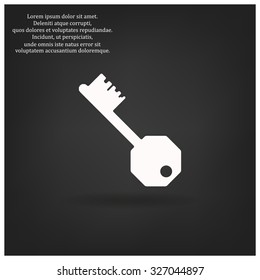 key. icon. vector design