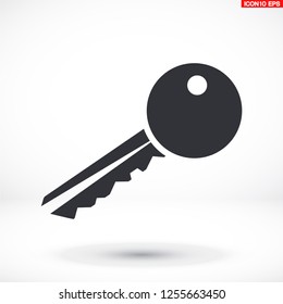 Key icon. Vector  Eps 10