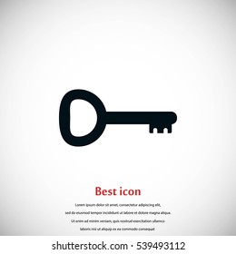 Key Icon vector, flat design best vector icon
