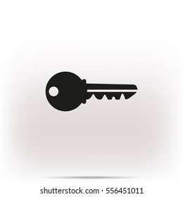 Key Icon, vector illustration