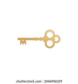 Key icon vector illustration design template