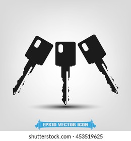 Key icon vector illustration EPS 10.