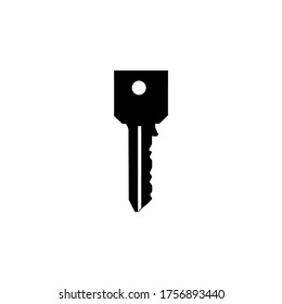 key icon vector illustration logo template