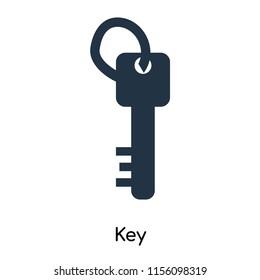 Key icon vector isolated on white background, Key transparent sign , symbols or elements in filled style