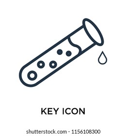 Key icon vector isolated on white background, Key transparent sign , thin symbol or stroke element design in outline style