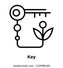 Key icon vector isolated on white background, Key transparent sign , line or linear sign, element design in outline style