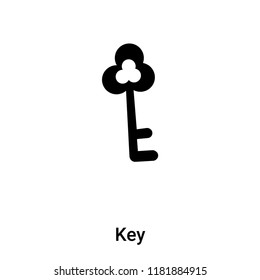 Key icon vector isolated on white background, logo concept of Key sign on transparent background, filled black symbol