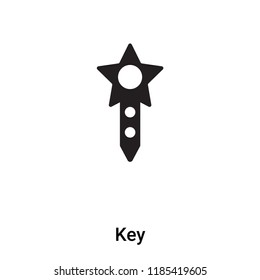 Key icon vector isolated on white background, logo concept of Key sign on transparent background, filled black symbol