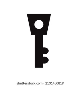 Key icon vector on a white background