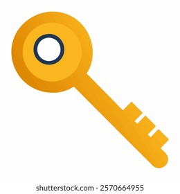 Key icon vector on white background.