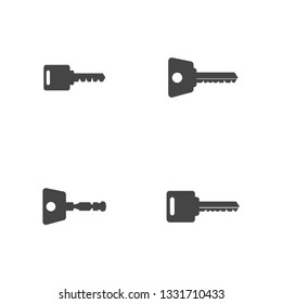 key icon vector. password icon. Vector illustration