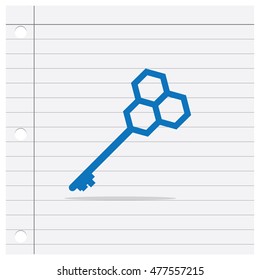 Key Icon Vector Symbol Flat Design Template Elements