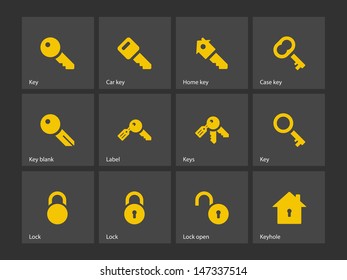 Key icons on gray background. Vector illustration.