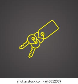 key isolated minimal icon for websites and mobile minimalistic flat design.