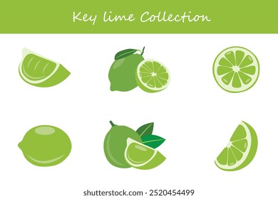 key lime collection in different poses. Vector illustration.