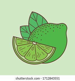 Key Lime Isolated On White Background. Vector Illustration.