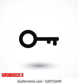 Key line vector icon