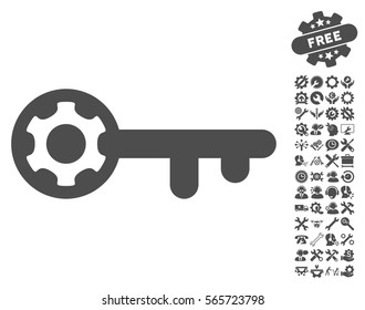 Key Options icon with bonus options clip art. Vector illustration style is flat iconic gray symbols on white background.