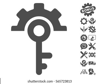 Key Options icon with bonus service design elements. Vector illustration style is flat iconic gray symbols on white background.