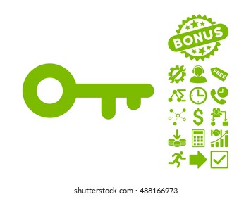 Key pictograph with bonus design elements. Vector illustration style is flat iconic symbols, eco green color, white background.