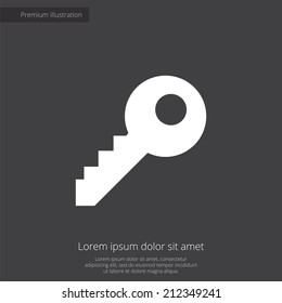 key premium illustration icon, isolated, white on dark background, with text elements 