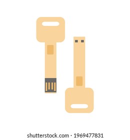 Key shape Flash drive (USB memory) icon Flat illustration