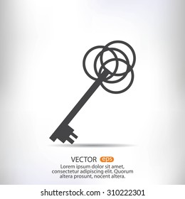 key sign icon