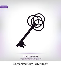 key sign icon