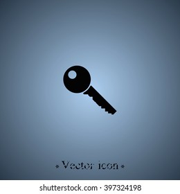 Key sign icon. 