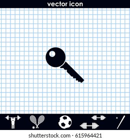 Key sign icon. 