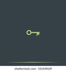 Key sign icon. Unlock tool symbol.