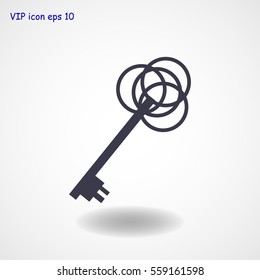key sign icon, vector best flat icon, EPS