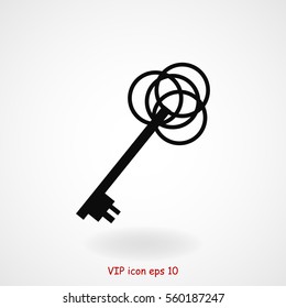 key sign icon, vector best flat icon, EPS