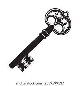 Key silhouette vector on white background