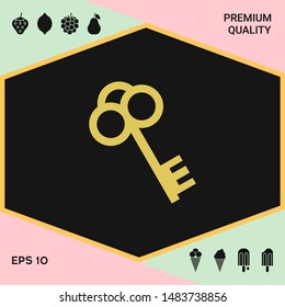 Key symbol icon. Graphic elements for your design