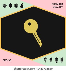 Key symbol icon. Graphic elements for your design