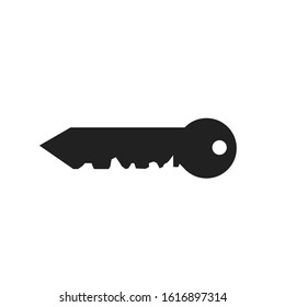Key vector graphics illustration, perfect for icons